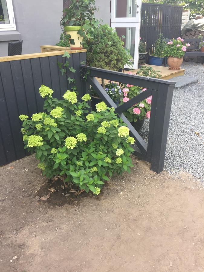 Bed and Breakfast Molino Bønnerup Strand Exterior foto