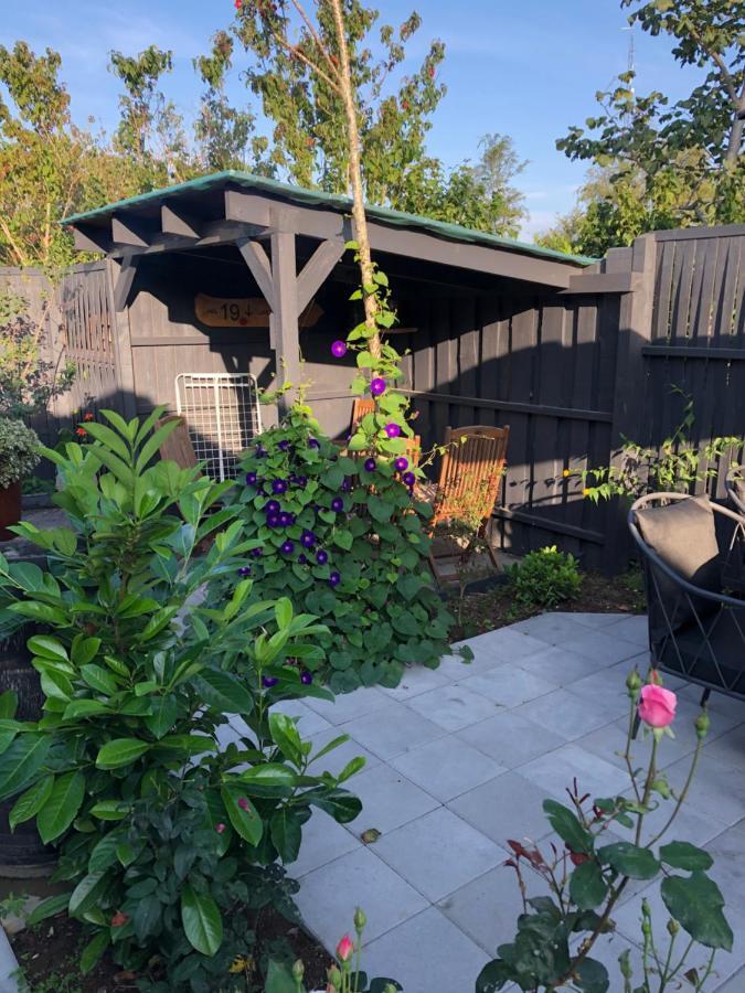 Bed and Breakfast Molino Bønnerup Strand Exterior foto